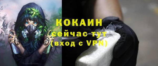дмт Кулебаки
