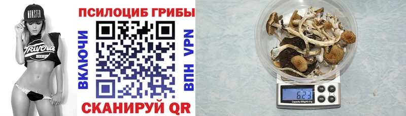 кракен ТОР  Череповец  Галлюциногенные грибы Psilocybe  где найти наркотики 